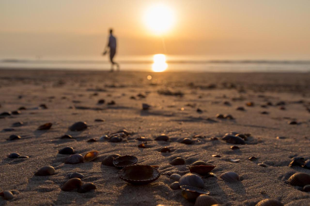 Luxe Vakantiewoning Domburg, Dichtbij Strand エクステリア 写真